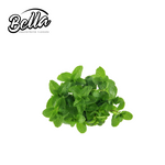 Menthol - Bella Liquid Flavour