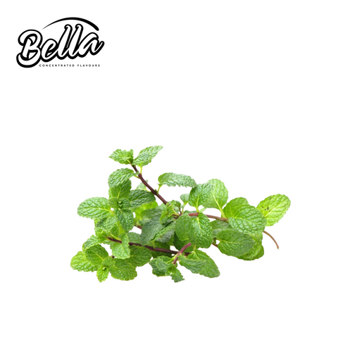 Spearmint - Bella Liquid Flavour