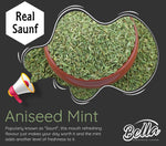 Aniseed Mint (SAUNF) - Bella Liquid Flavour